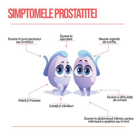 durere la ejaculare|Prostata